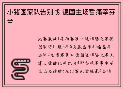 小猪国家队告别战 德国主场誓痛宰芬兰
